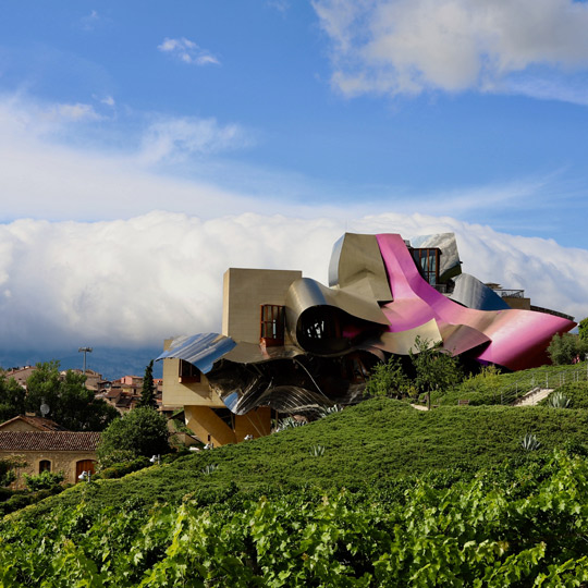 Винодельческое хозяйство Marqués de Riscal