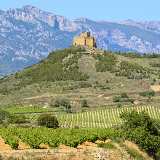 Castello di Davalillo circondato da vigneti, La Rioja