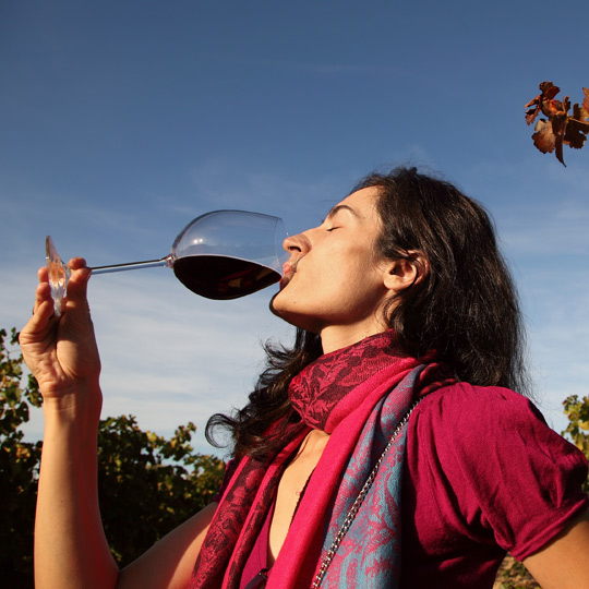 Cata en la bodega Pago - Tharsys de Requena 