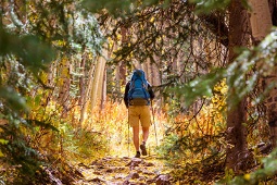 Esperienze: gite e itinerari