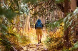 Experiences: day trips and tours