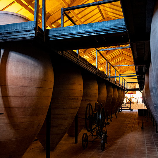 Musée du vin sur la route du vin de Valdepeñas
