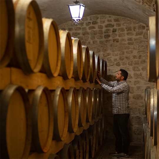 Bodega. Weinstraße von Cigales