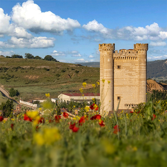 Burg Fuensaldaña, Cigales (Valladolid)