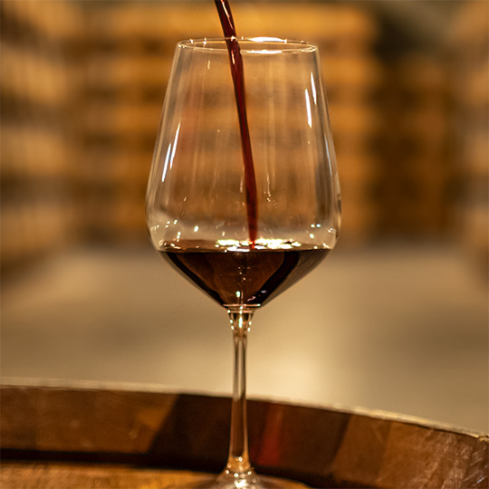 Verre de vin. Route du vin de Jumilla. Murcie