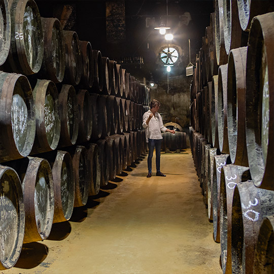 Cantina. Itinerario enoturistico del Montilla-Moriles