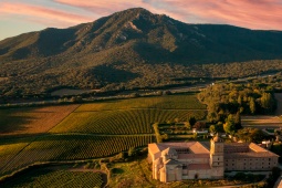 Paisagem. Rota do vinho de Navarra