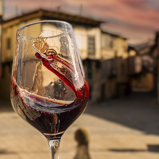 Verre de vin. Route du vin Ribera del Duero