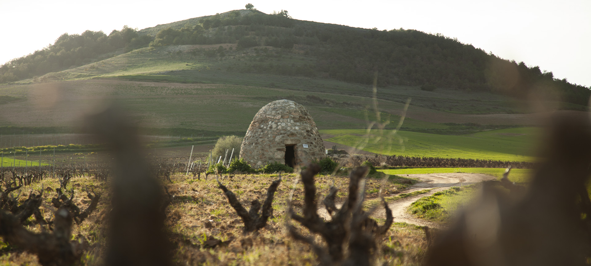 « Guardaviñas ». Route du vin Ribera del Duero