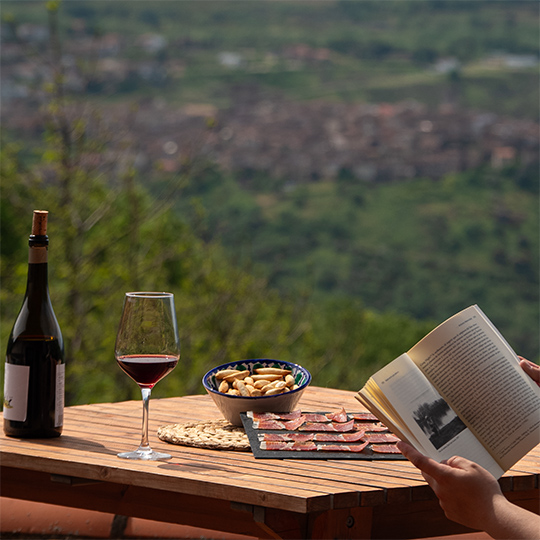 Lektüre bei einem Glas Wein und Tapas. Weinstraße der Sierra de Francia