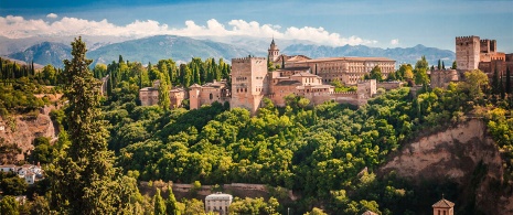 View of the Alhambra in Granada