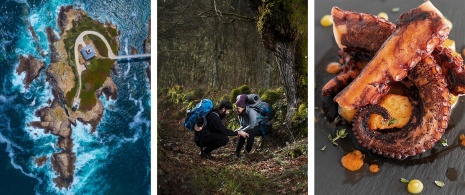 Sinistra: Faro a Ribadeo/Centro: Pellegrini in un bosco in Galizia/Destra: Piatto a base di polpo