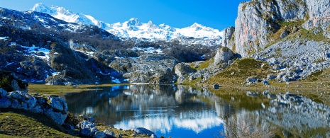 Jezioro Ercina Picos de Europa
