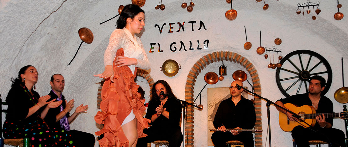 Spectacle de flamenco au Sacromonte, Grenade Spectacle de flamenco au Sacromonte, Grenade
