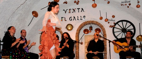 Espectáculo de flamenco en Sacromonte, Granada