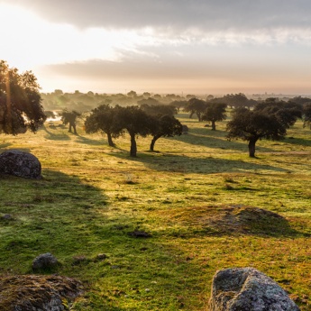 Sonnenuntergang über der typischen Landschaft Extremaduras