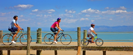 Cyclists along the Ebro River Delta
