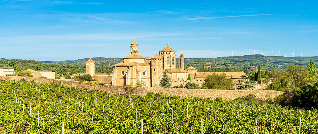 Monasterio de Poblet Monasterio de Poblet