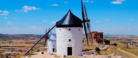 Mulini a Consuegra