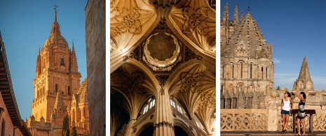 Varias imágenes de la catedral de Salamanca, Castilla y León