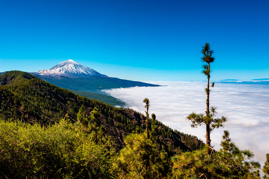 El Teide El Teide