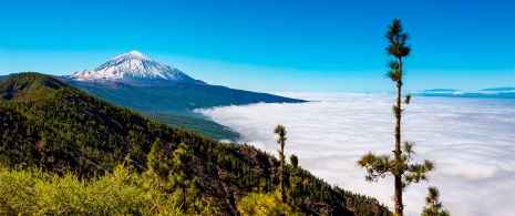 The Teide