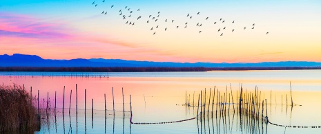 Parku Przyrody Albufera