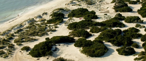 Spiaggia di Rs Trenc