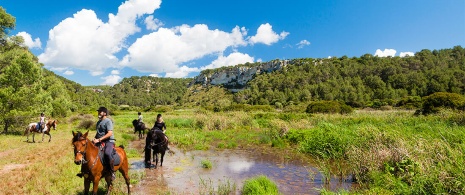 Horse riding tourism in Minorca