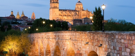 Roman Bridge in Salamanca