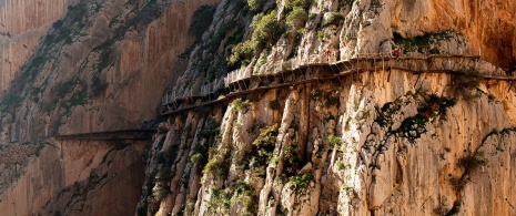 Walkways on Caminito del Rey in Málaga, Andalusia