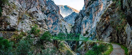 カレスのルートの歩道