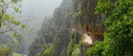 Vue de randonneurs sur la route du Cares