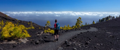 Tourist unterwegs auf der Route der Vulkane auf La Palma, Kanarische Inseln.