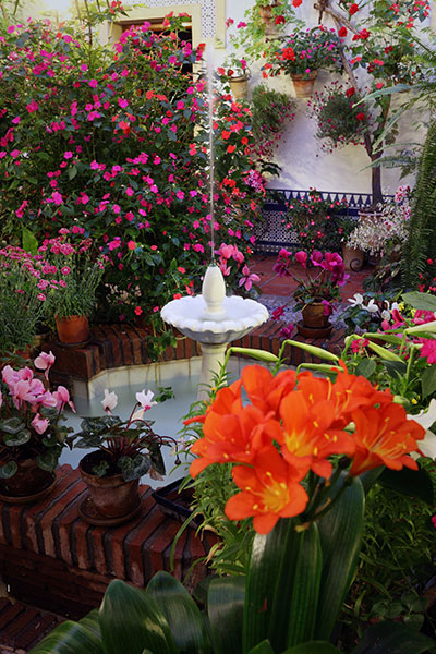 Festival des patios de Cordoue Festival des patios de Cordoue