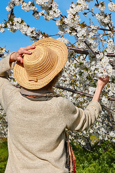 Le printemps est sur le point d