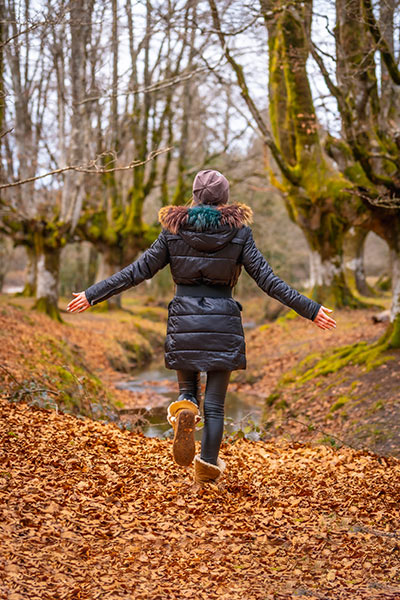 La bonne saison pour visiter les hêtraies