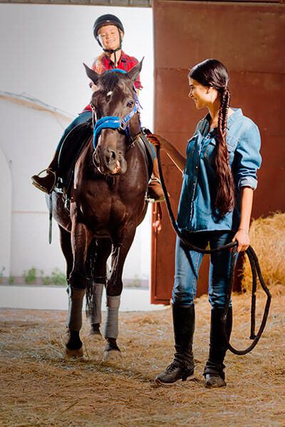 Equestrian touring