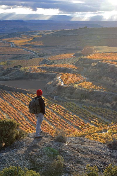 Sustainable wine tourism in the Spain