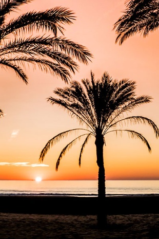  Amanhecer na praia de Cullera, Valência