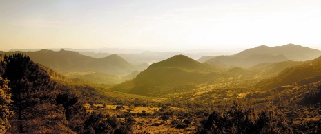 Sierra de Grazalema, province de Cadix, Andalousie