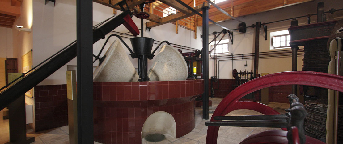 Museo dell'olio di Baena. Cordova Museo dell'olio di Baena. Cordova