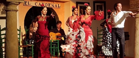 Detal spektaklu flamenco w El Cardenal w Kordobie