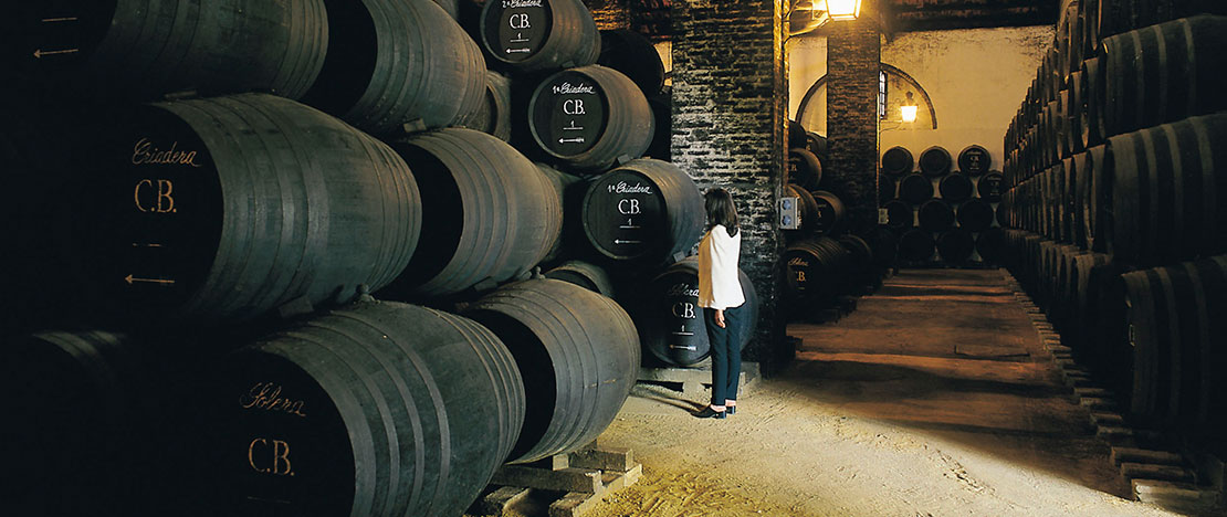 Azienda vinicola a Montilla, Andalusia