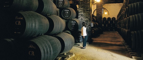 Winery in Montilla, Andalusia