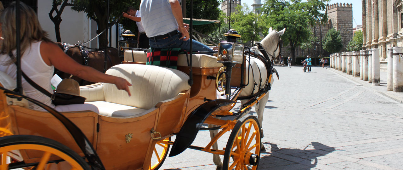 Coche de caballos