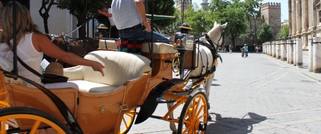 Horse and carriage