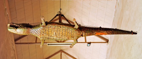 Detalle del cocodrilo en la Nave del Lagarto en la Catedral de Sevilla 