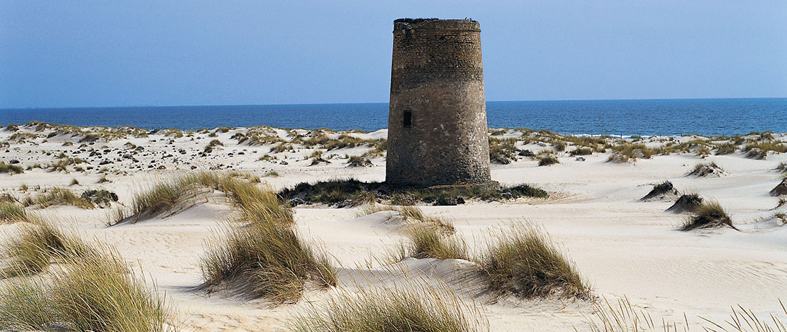 Dunas junto ao mar. Parque Nacional de Doñana