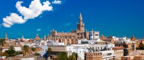View of the Santa Iglesia Cathedral of Seville and La Giralda in Seville, Andalusia